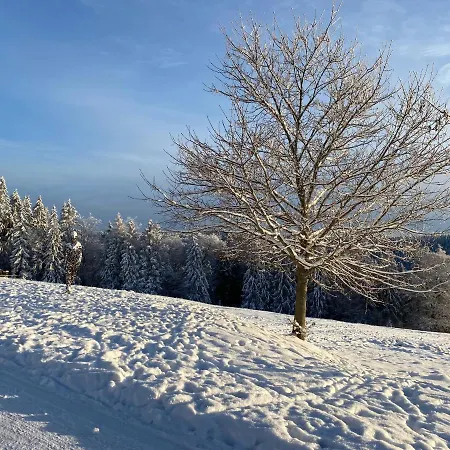 Διαμέρισμα Vier Jahreszeiten Frauenwald