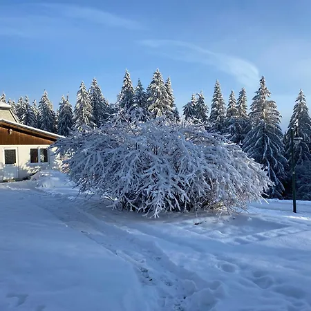 Vier Jahreszeiten Frauenwald