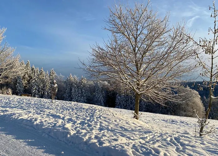 דירה Vier Jahreszeiten פראונוואלד